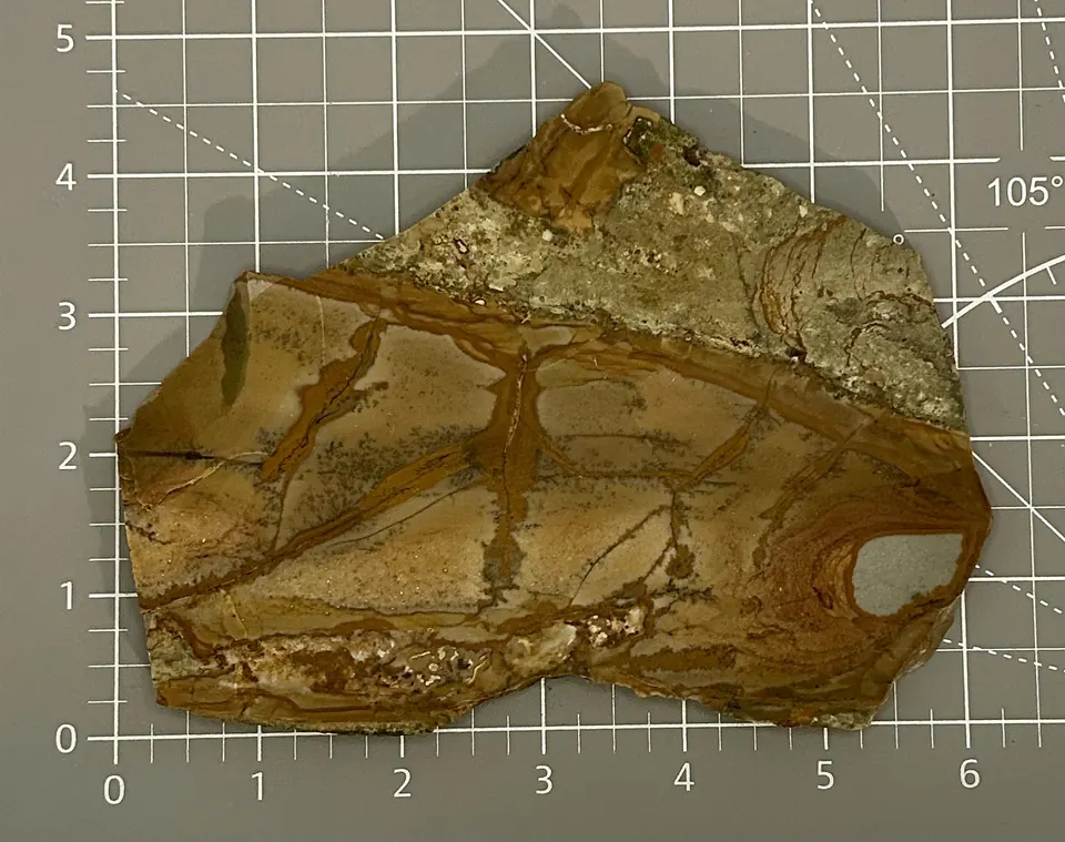 Owyhee Jasper