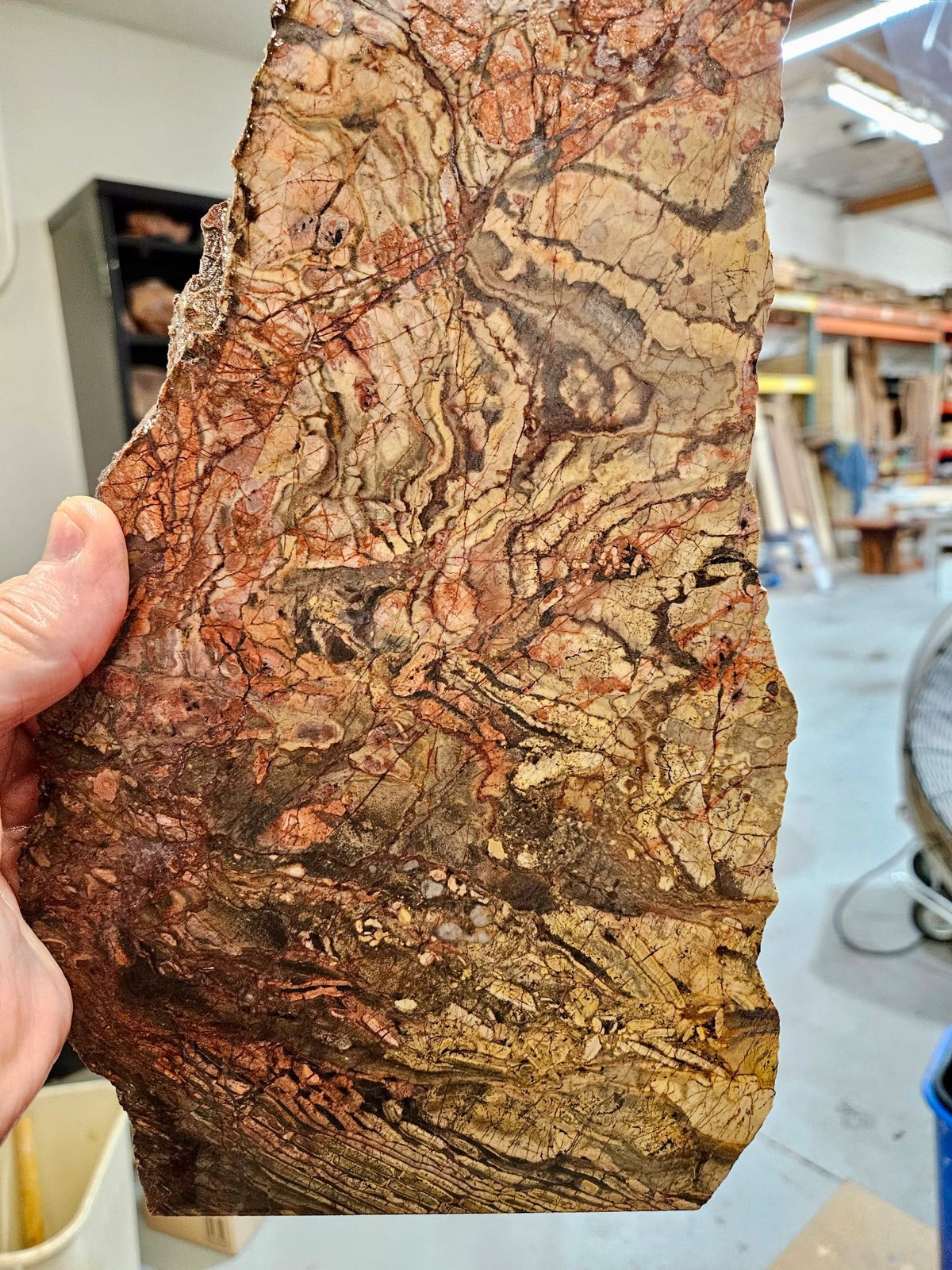 A freshly sawn slab held up for its first read, the pattern just showing.
