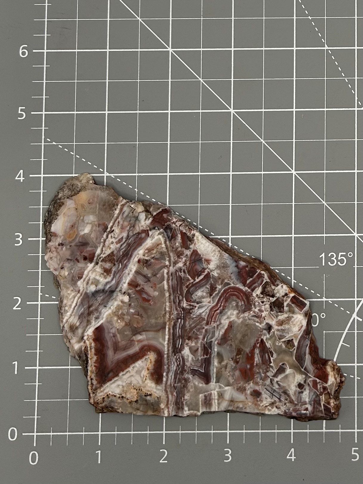 Mexican Crazy Lace Agate