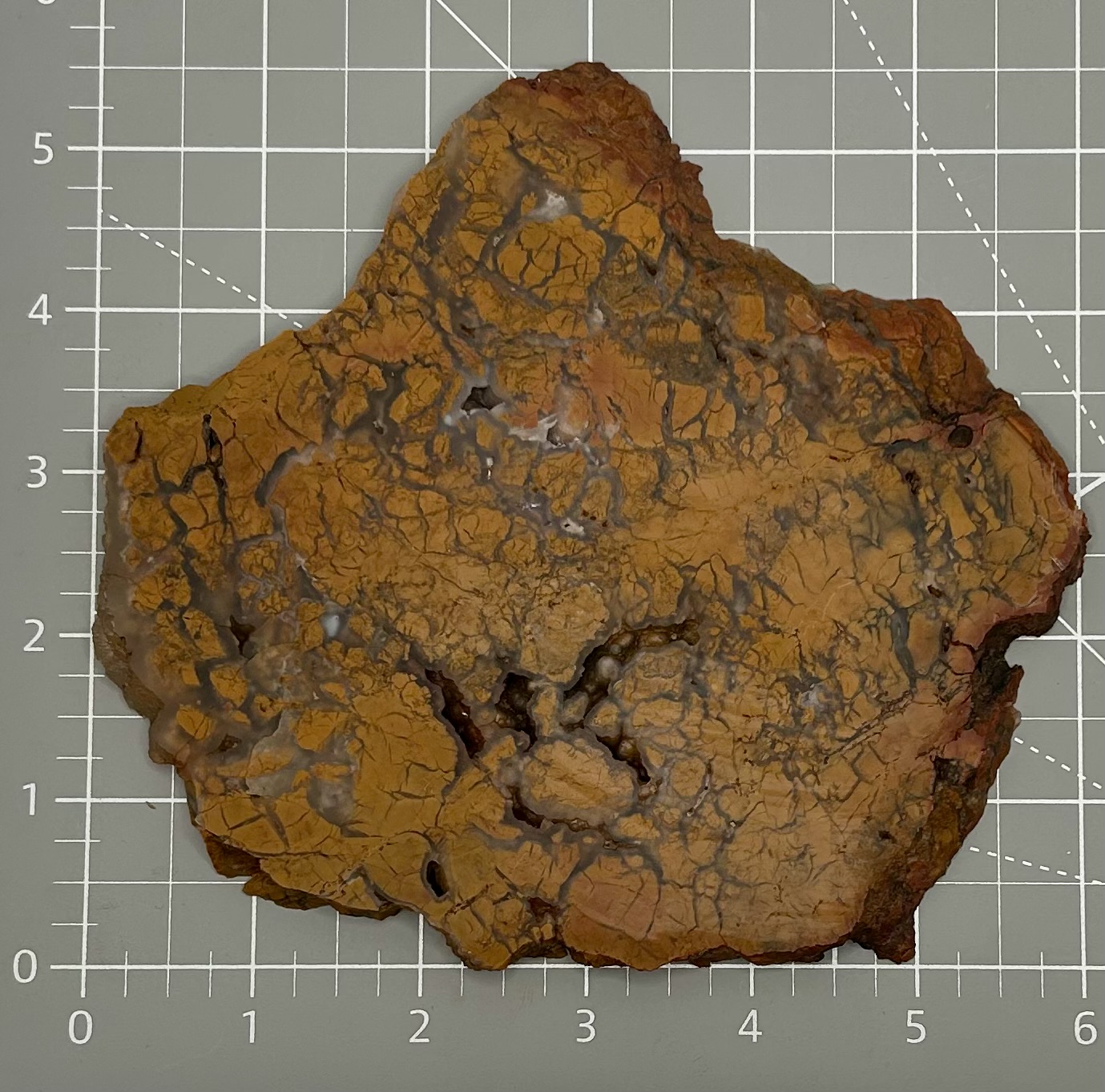 Brecciated Stone Jasper