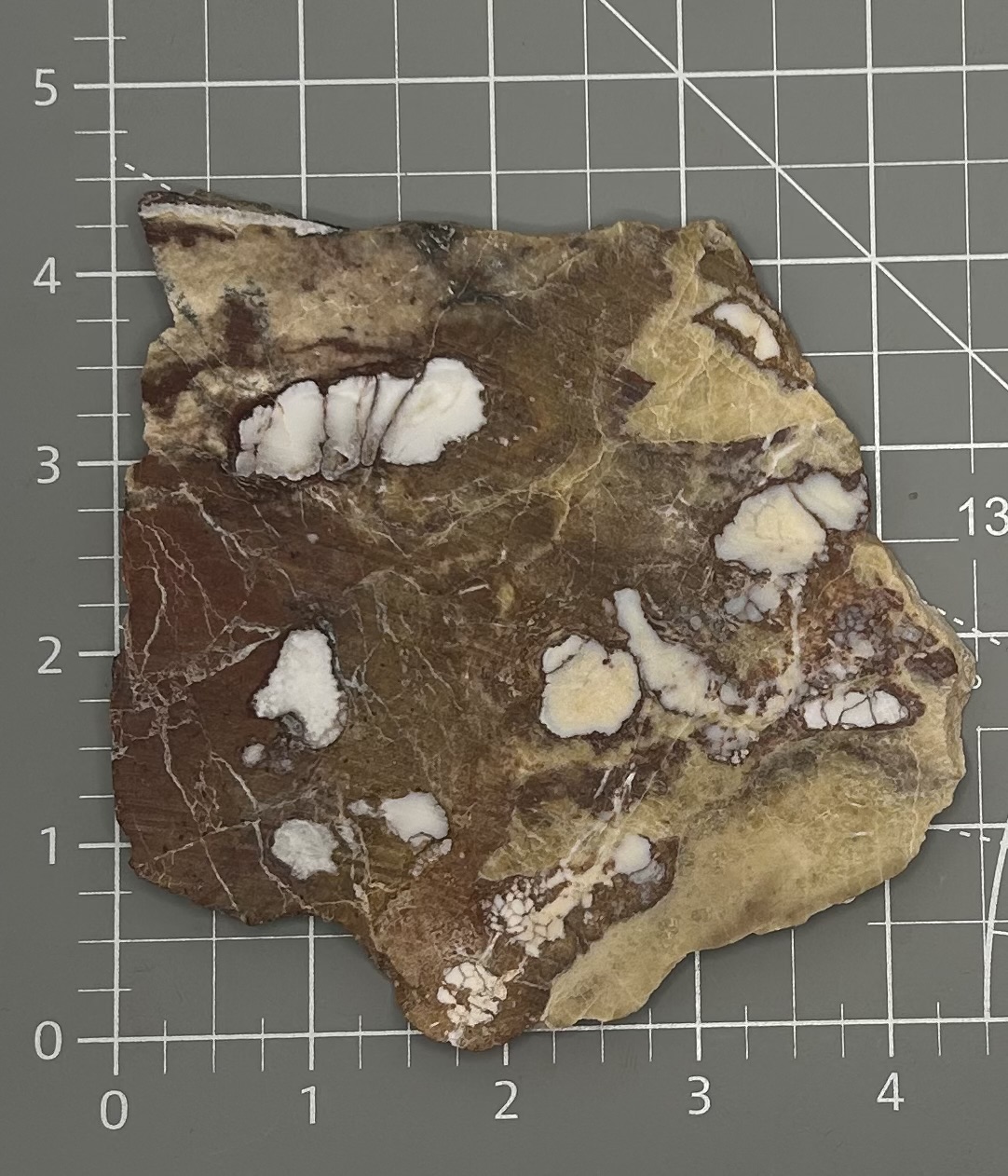 Wild Horse Magnesite