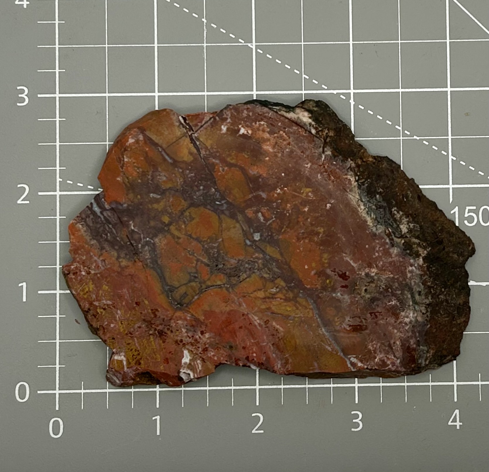 Stone Canyon Jasper