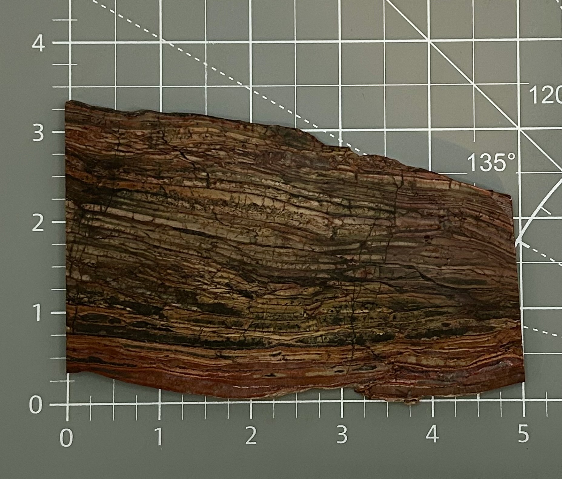 Banded Rhyolite