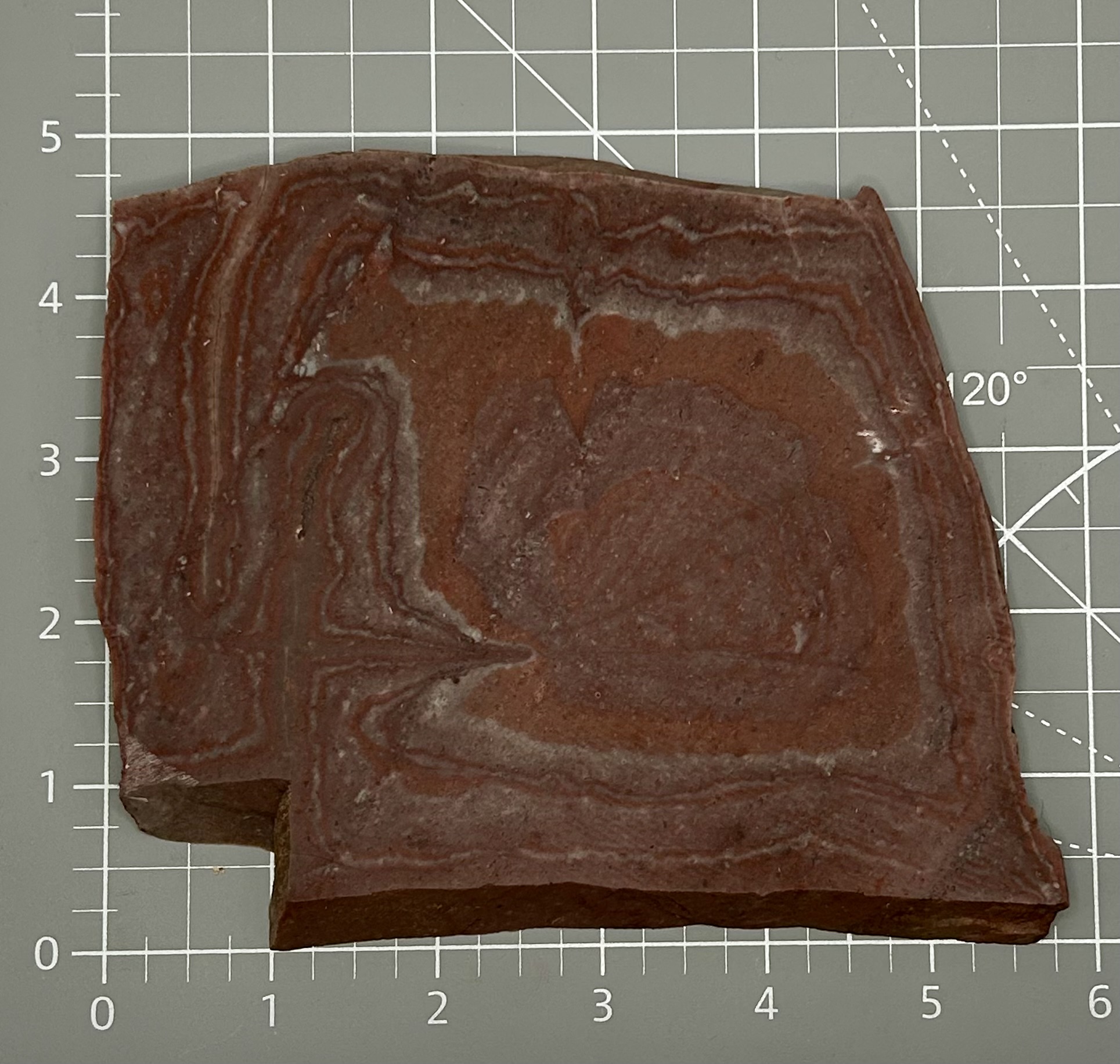 Banded Rhyolite Jasper